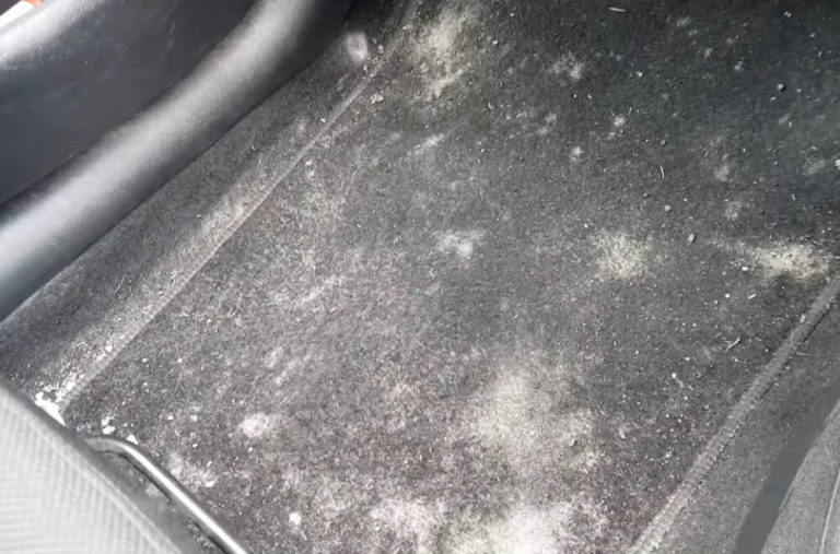 How To Get Mold Out Of Car Carpet 768x507 