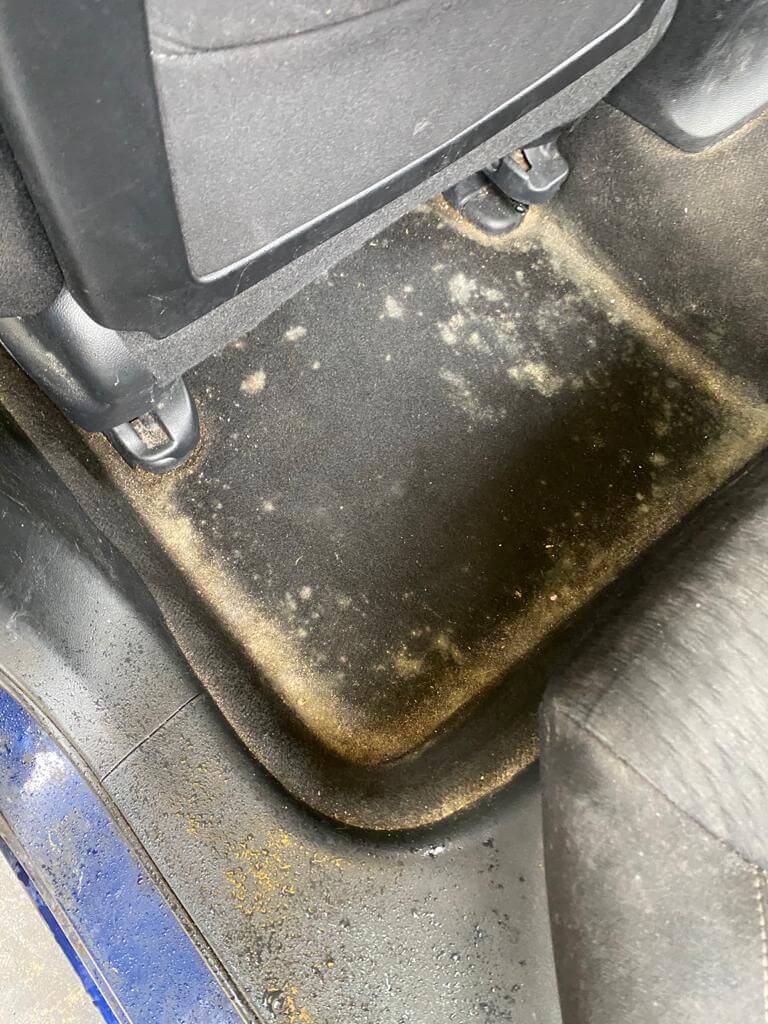 how to remove mold from car carpet